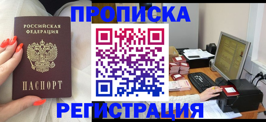 временная регистрация поиск в Невельске